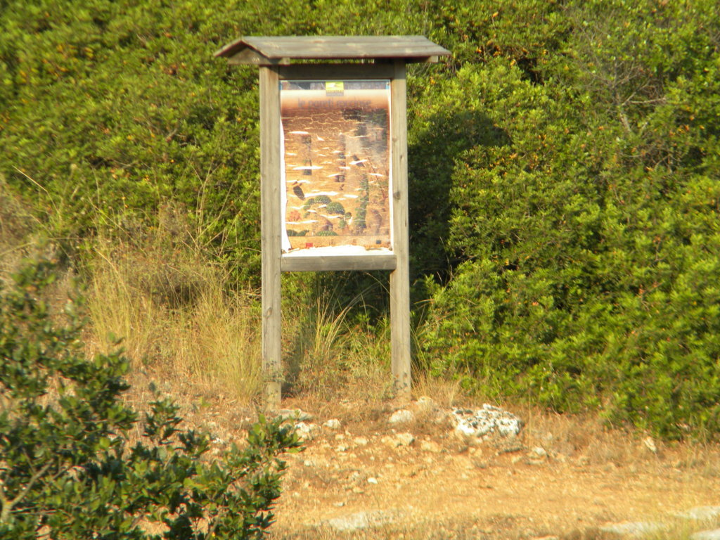 DSCN2646 .JPG